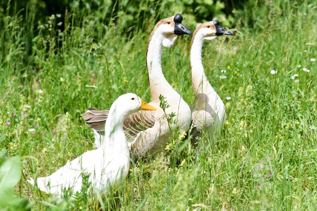 Вілла Gailerhof Liesing Екстер'єр фото